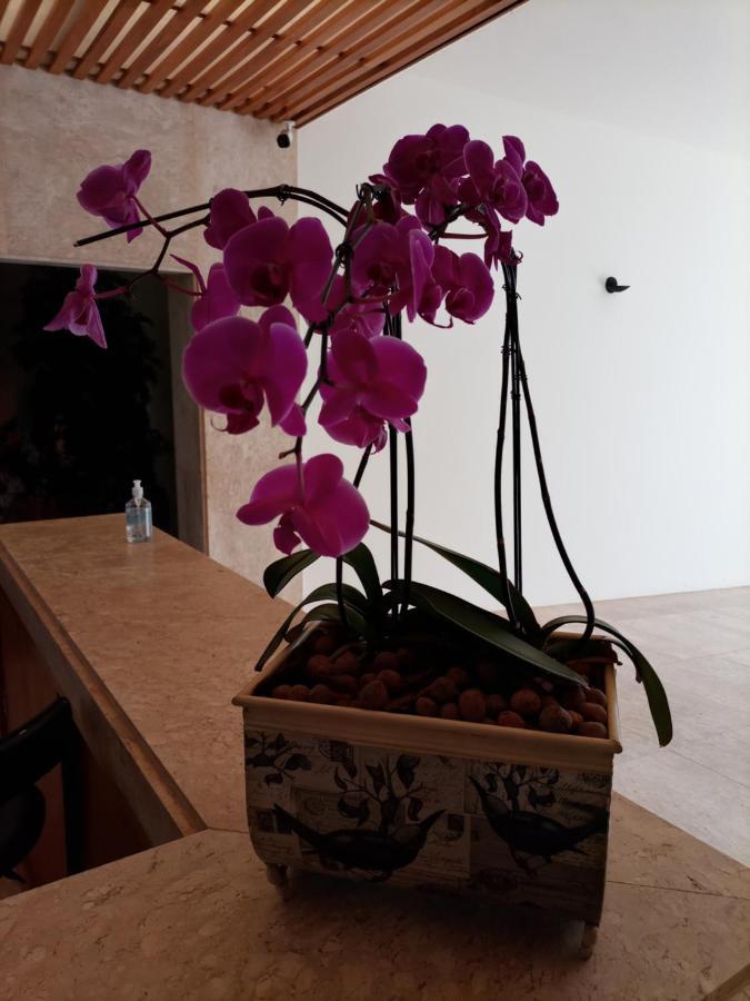 Casa De Campo No Resort Residence Thermas De Santa Barbara 阿瓜斯-迪圣巴巴拉 外观 照片